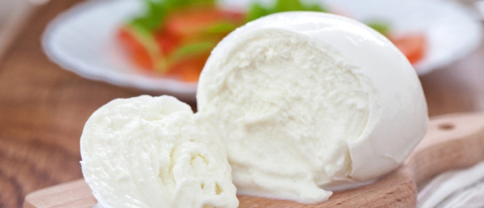Protesta camionisti, stop alla mozzarella Dop e mense scuole a rischio. Manfredi e Leccese: «Città verso la paralisi»