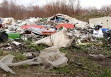 Ecomafia, Legambiente: Campania e Napoli in testa ai reati ambientali, Sud concentra il 44,3% di illeciti