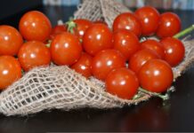 Rischio salmonella, pomodori freschi vietati anche nelle mense a Napoli e Portici. Attenzione al menù di casa