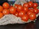 Rischio salmonella, pomodori freschi vietati anche nelle mense a Napoli e Portici. Attenzione al menù di casa